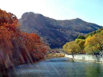 澳门二四六天天彩图库，鄢陵物流